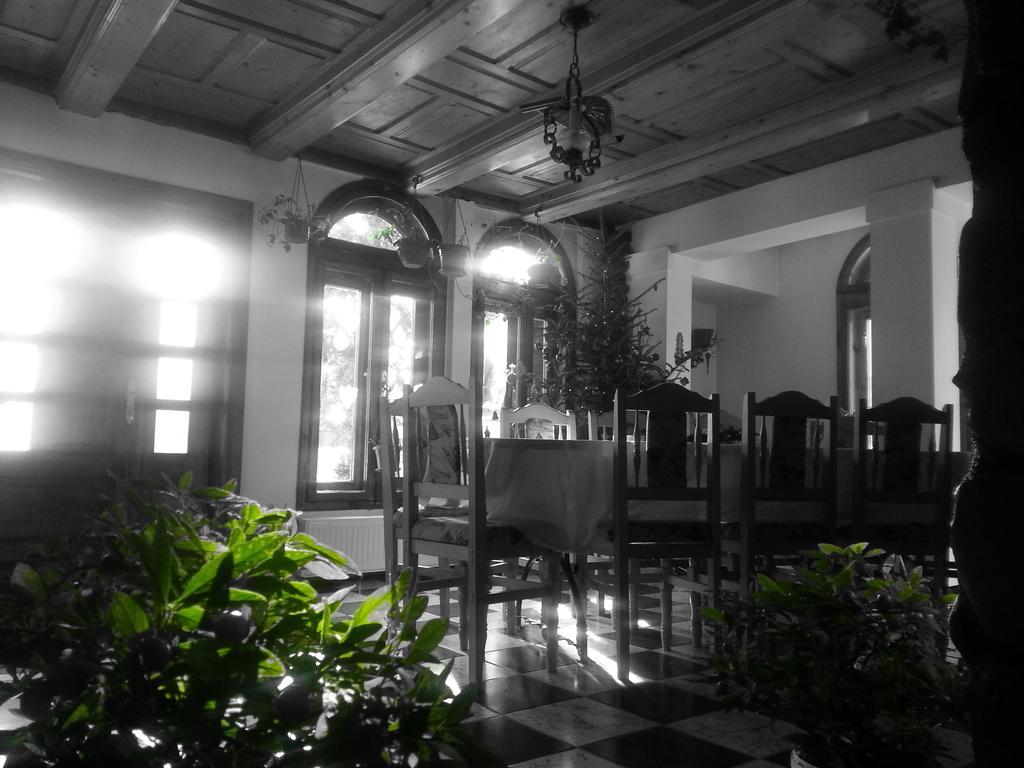 Pension Casa Aurora Vama  Exterior foto