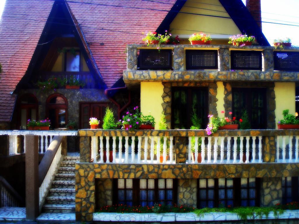Pension Casa Aurora Vama  Exterior foto